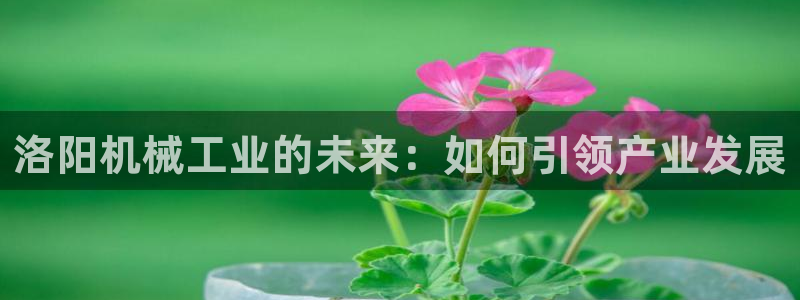 摩根娱乐彩票挂机