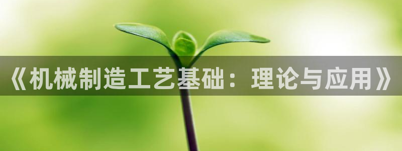 摩根娱乐宝机怎么玩