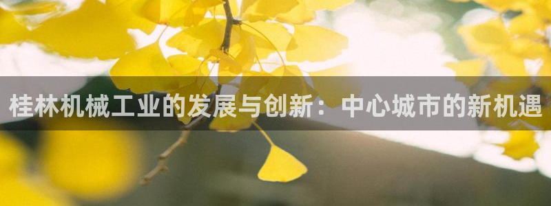 摩根娱乐宝-
