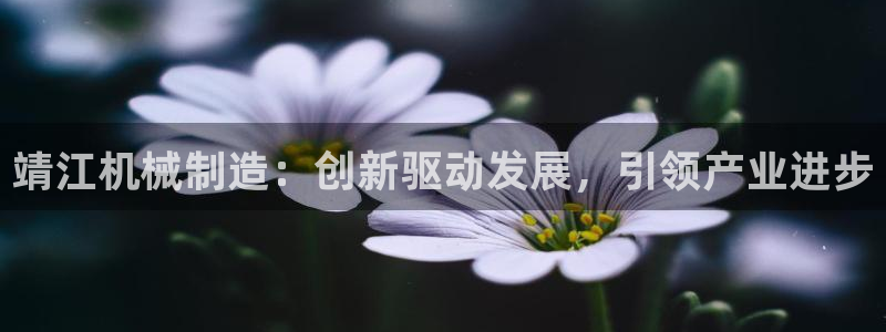 临平摩根娱乐会所