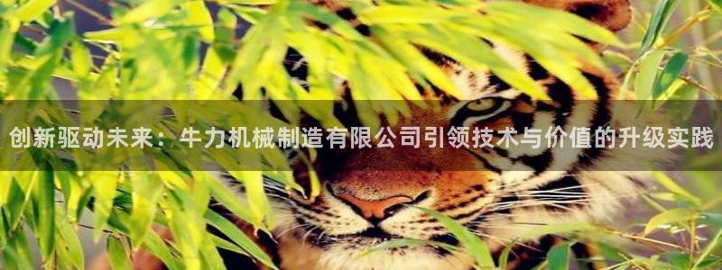 摩根娱乐宝APP下载
