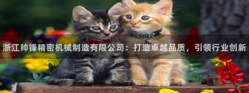 摩根会娱乐有限公司