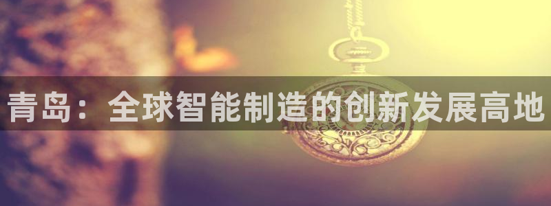 摩根娱乐 总s管50015
