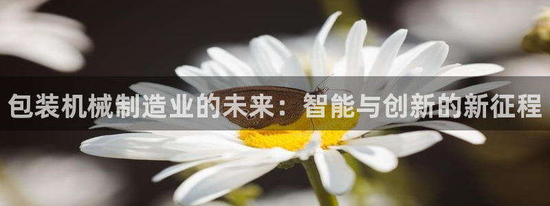 摩根娱乐帐7O777