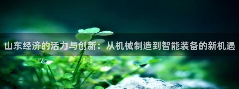 福建泉州白宫摩根会娱乐