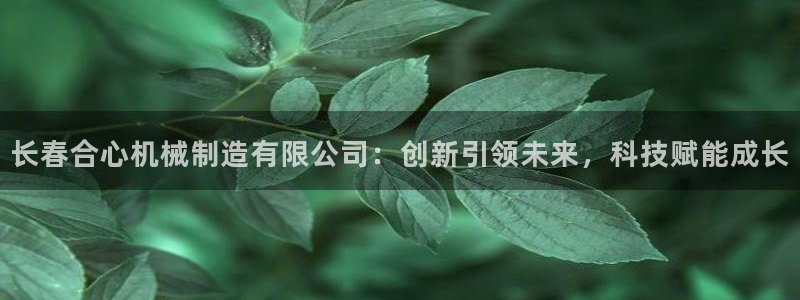 摩根娱乐宝总部
