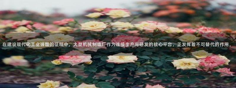 摩根娱乐套路