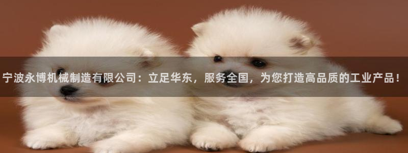 摩根娱乐官网