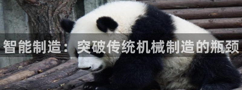 摩根娱乐宝怎么下载