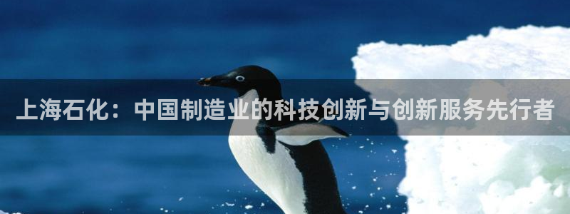 摩根士丹利娱乐
