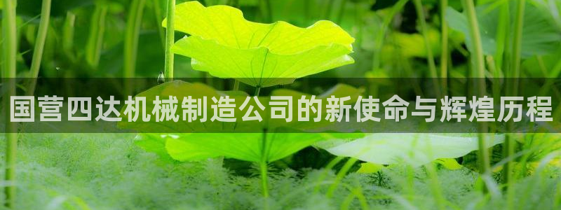 摩根娱乐宝app