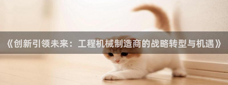 摩根国际 亚太 娱乐宝