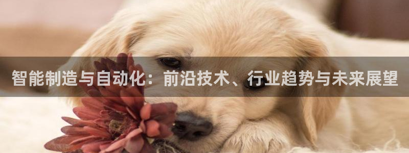 摩根娱乐dj