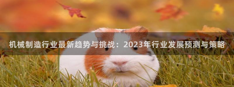 摩根士丹利凯撒娱乐