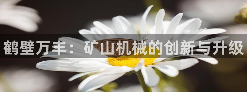 摩根会娱乐有限公司