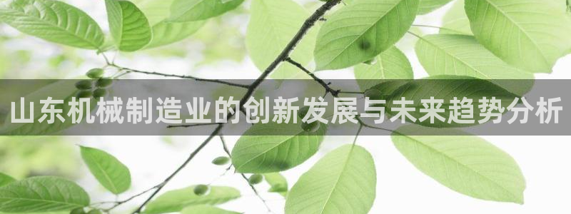 摩根娱乐挂机项目有哪些