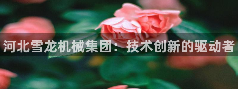 摩根娱乐 实c力77310