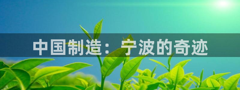 摩根娱乐询问市场总监86738k