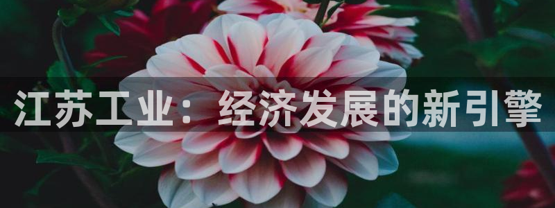 摩根士丹利凯撒娱乐