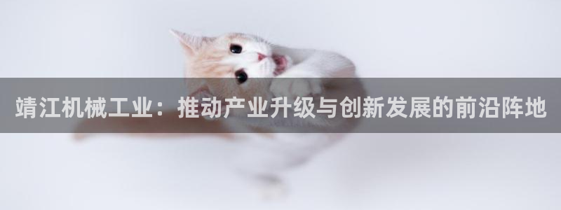 摩根娱乐