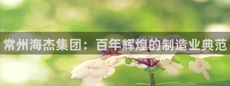 摩根合约娱乐宝