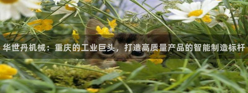 奥飞娱乐摩根调研
