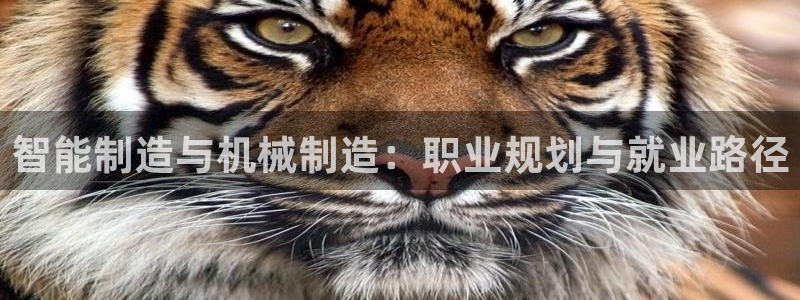 摩根说娱乐