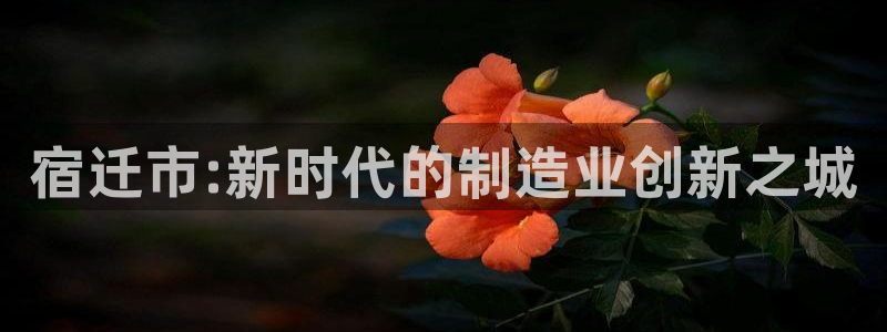 娱乐解说摩根