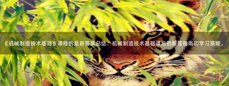 摩根娱乐宝app