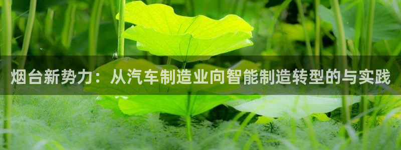 柬埔寨西港摩根娱乐