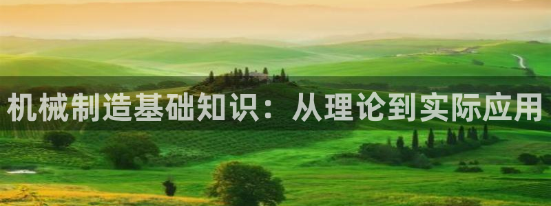 摩根室内娱乐