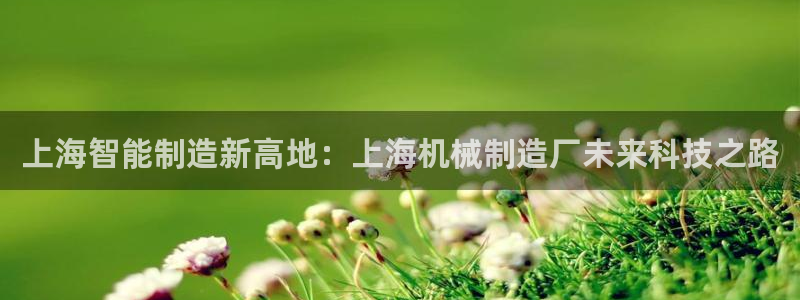 香港摩根娱乐