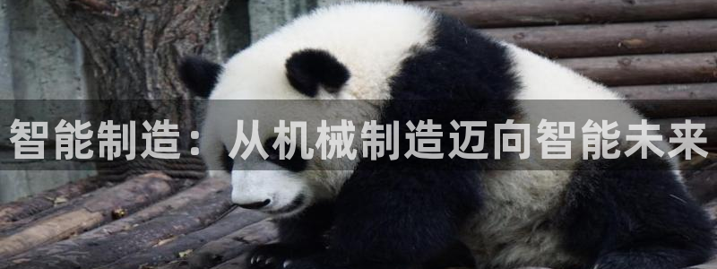 摩根娱乐宝怎样拉下线