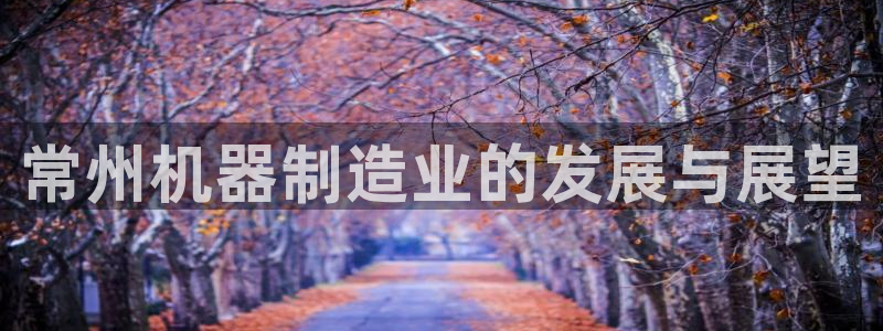 摩根娱乐挂机项目有哪些
