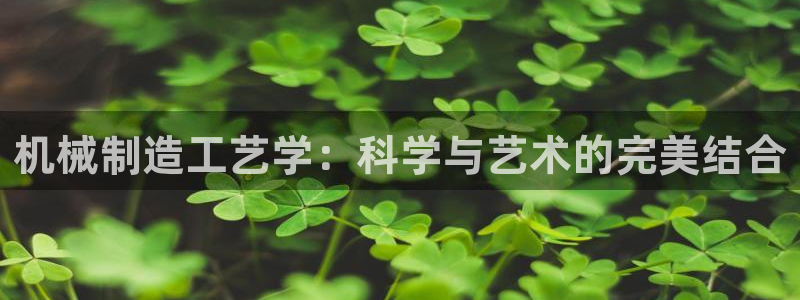 摩根娱乐开户总s管50015 15