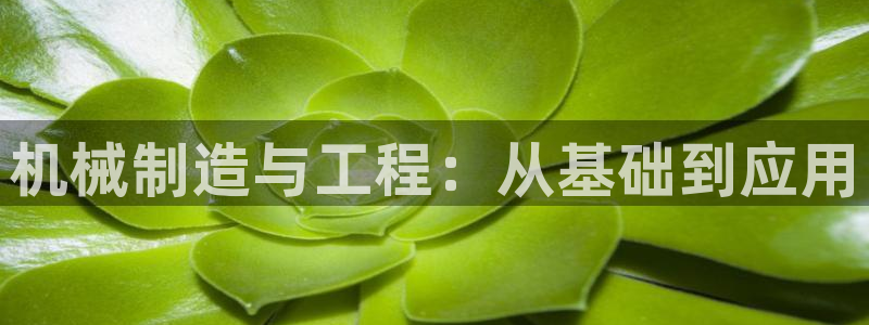 摩根娱乐宝怎么赚钱