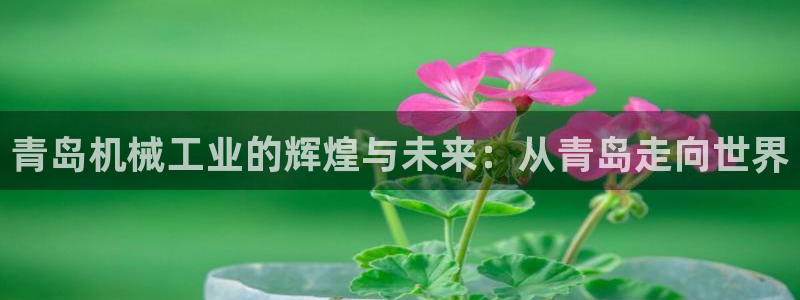 摩根娱乐帐7O777