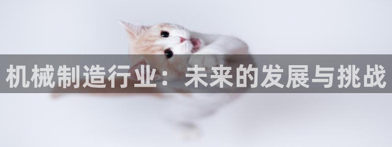 奥飞娱乐摩根调研