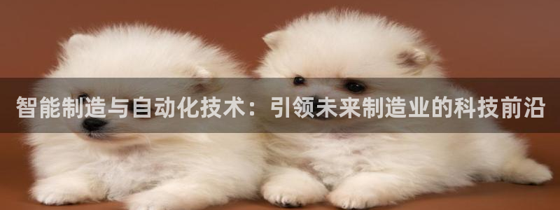 白宫摩根娱乐