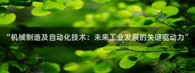 摩根娱乐宝口碑