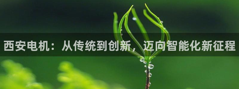 摩根娱乐宝邀请码