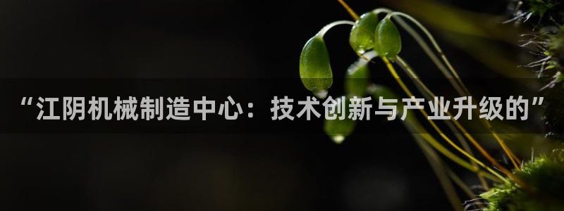 摩根娱乐云挂机项目