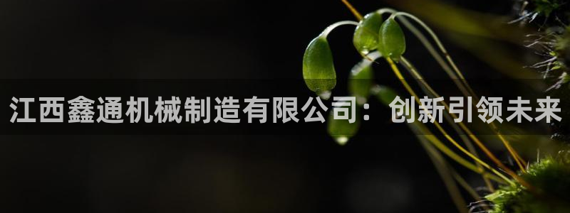 摩根娱乐二三事