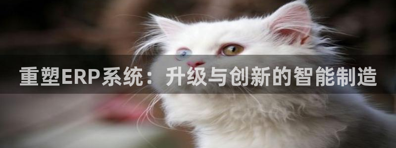 白宫摩根会娱乐会所