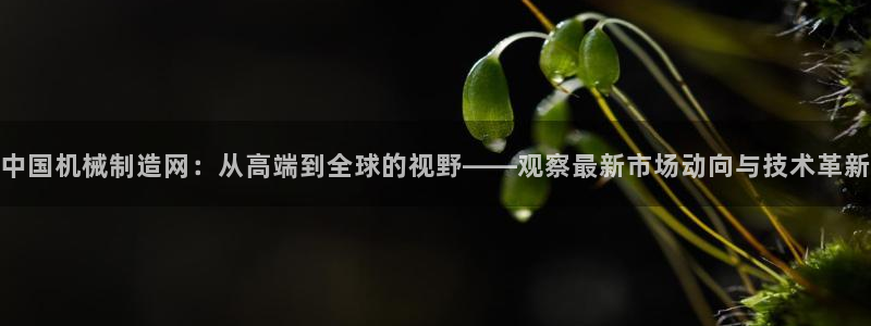 摩根娱乐1老H板50820