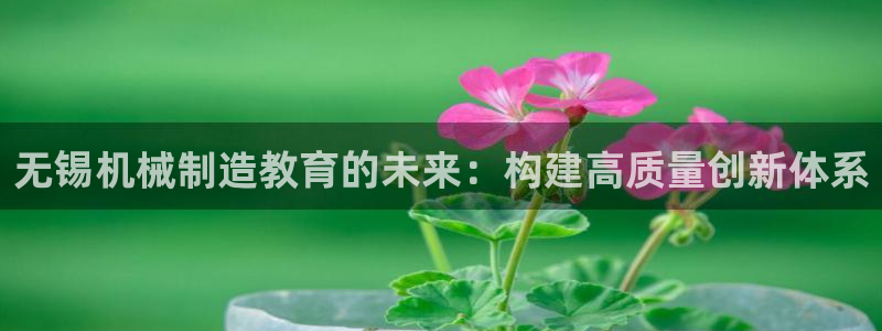 摩根娱乐平台云挂机安全吗