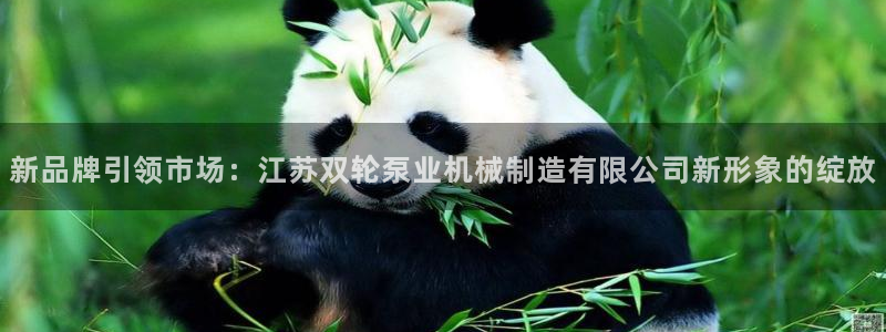 摩根娱乐_ c招a商77130