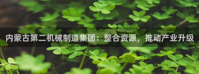 芜湖摩根一百有哪些娱乐