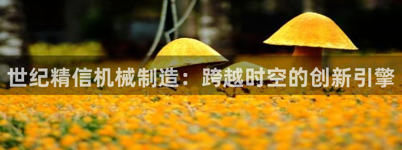 摩根娱乐宝是诈骗吗