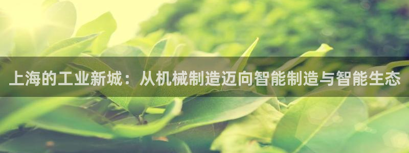 义务摩根娱乐会所电话
